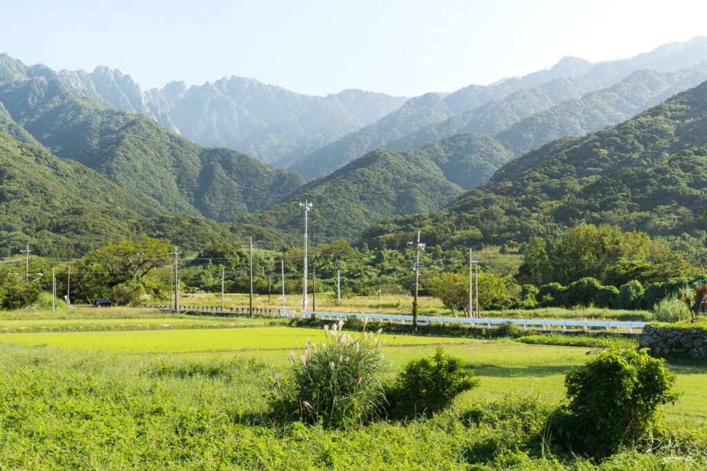 田園風景の背後にそびえる屋久島の山々