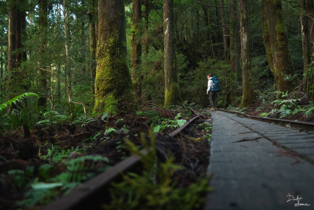 森のなかのトロッコ道を歩く登山者
