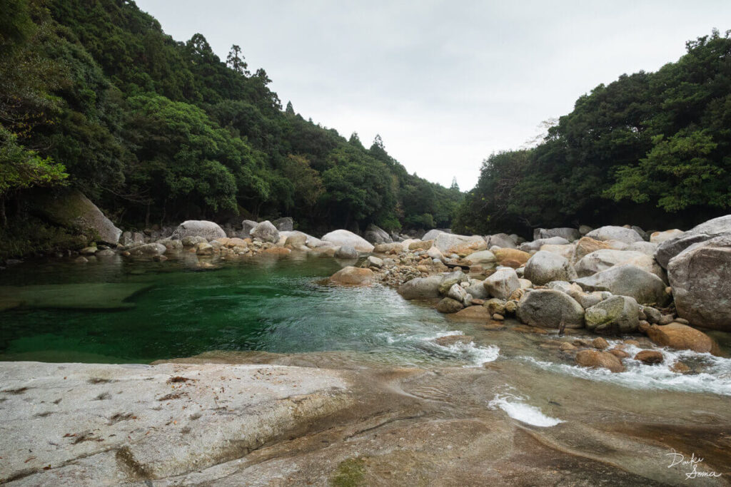 曇っていても色鮮やかな横河渓谷の清流