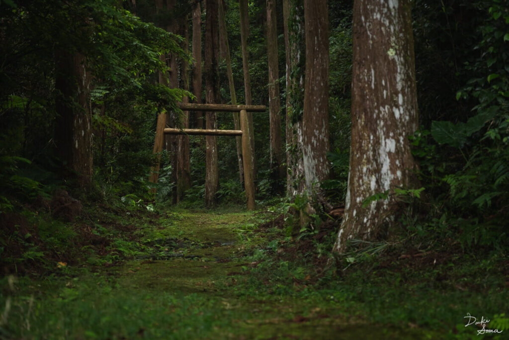 厳かな雰囲気を放つ、大山神社の鳥居