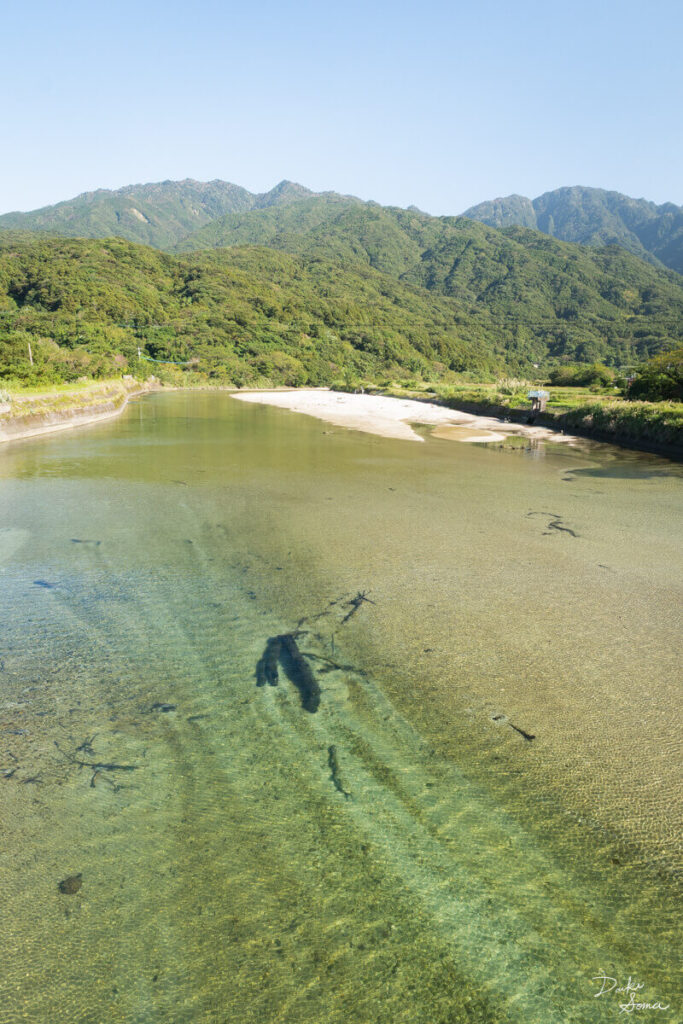 エメラルドグリーンの水が流れる屋久島の永田川