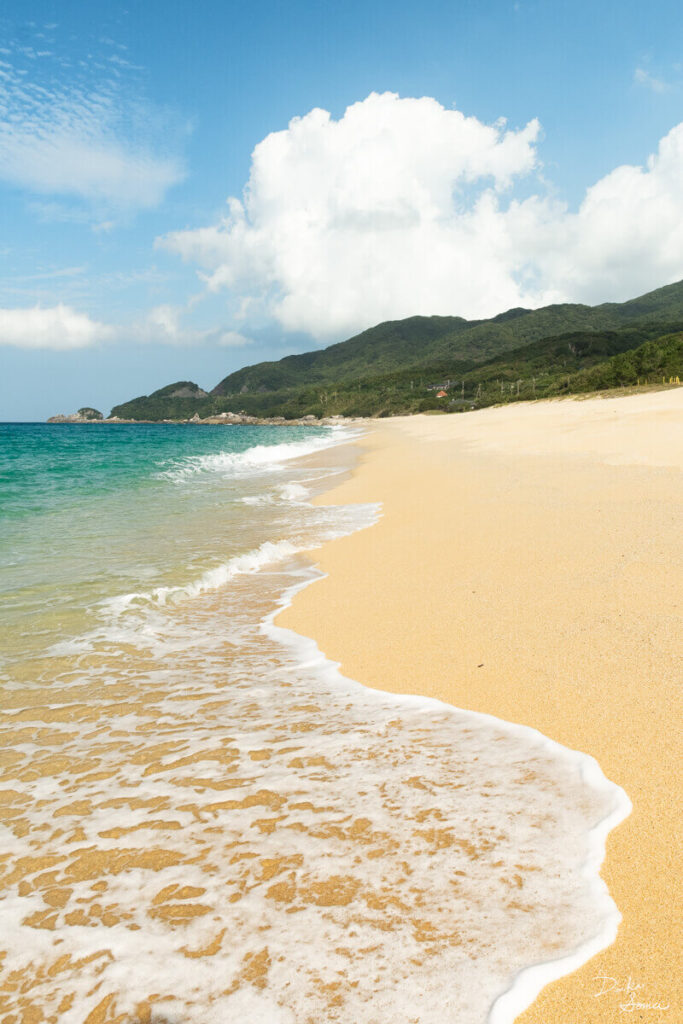 永田浜の白い砂浜に流れ着く波