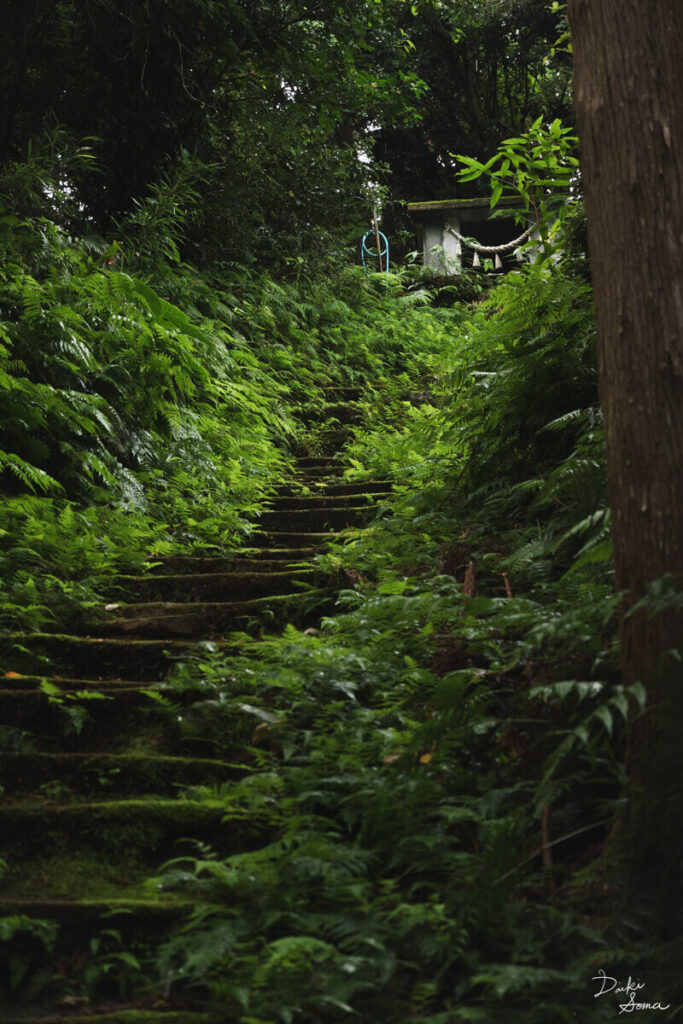 苔むした石段の上に鎮座する、大山神社の祠