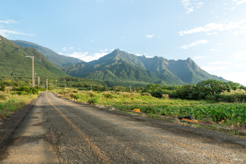 屋久島の山並みと、山に向かって連なる道路