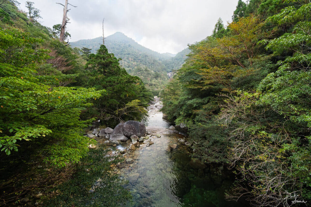 橋の上から見る川と森と山並み