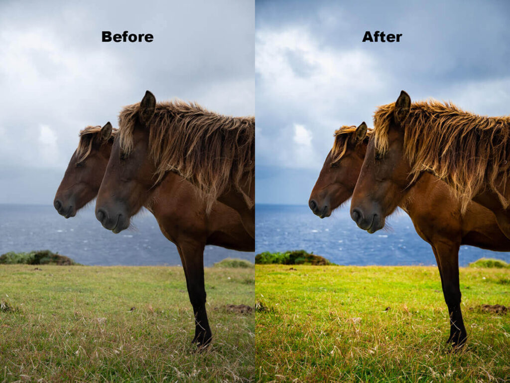 与那国馬の写真の編集前後を比較した画像