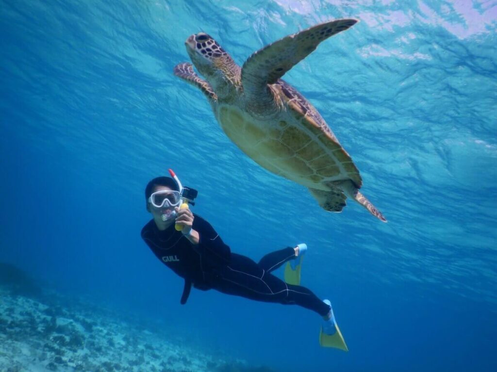 海中でウミガメと一緒に泳いで撮影する人