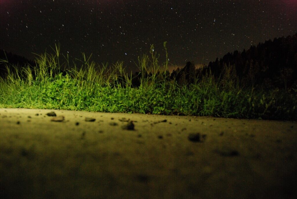 夜の田園地帯と星空