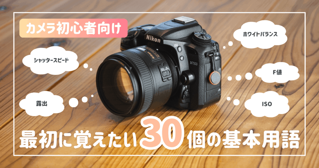 カメラ初心者が最初に覚えたい30個の基本用語を解説（図解・作例あり）【サムネイル】