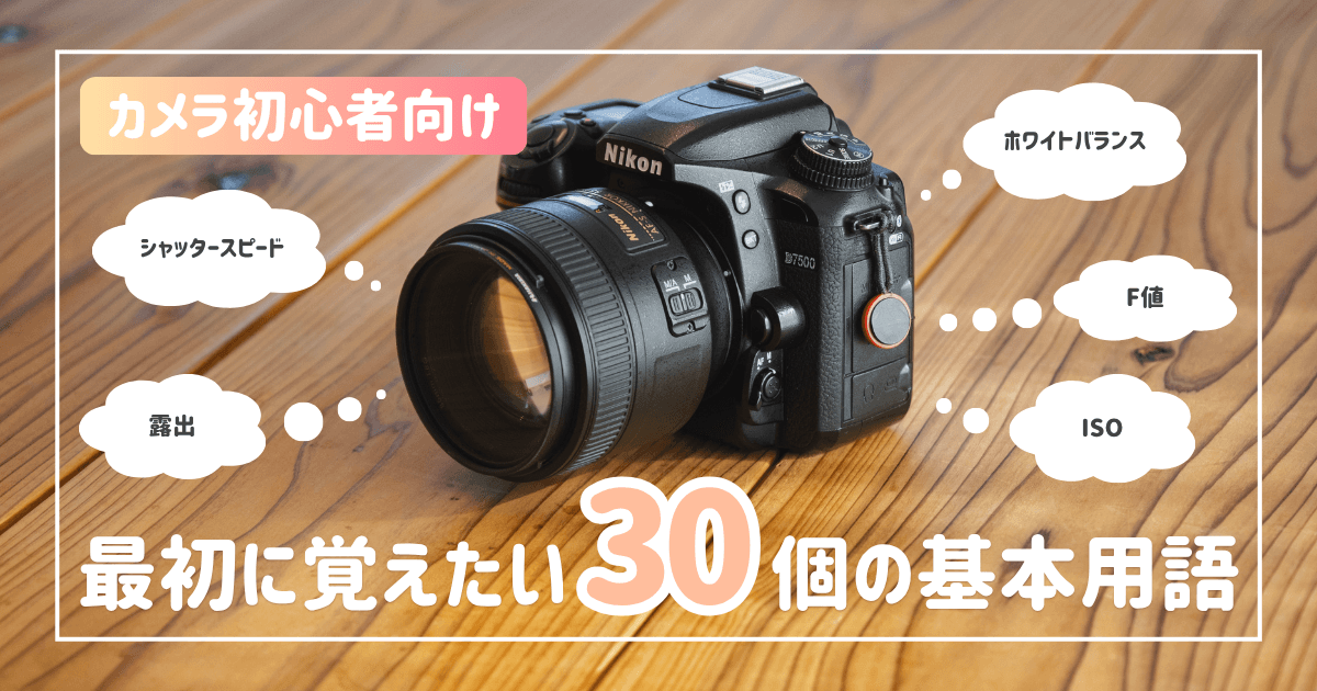 カメラ初心者が最初に覚えたい30個の基本用語を解説（図解・作例あり）【サムネイル】