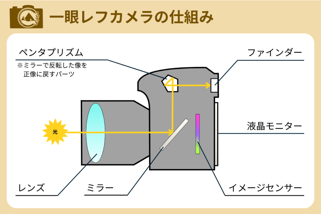 一眼レフカメラの構造を表した断面図