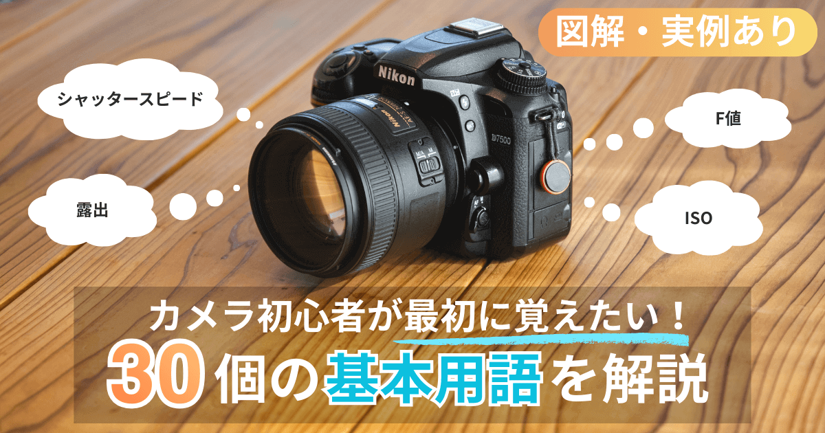 一眼レフカメラの写真と記事のタイトル