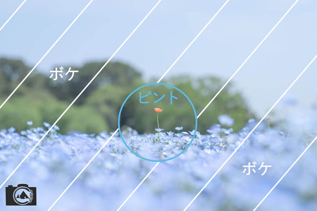 お花畑の写真における、ボケ部分とピントが合った部分を示した図解