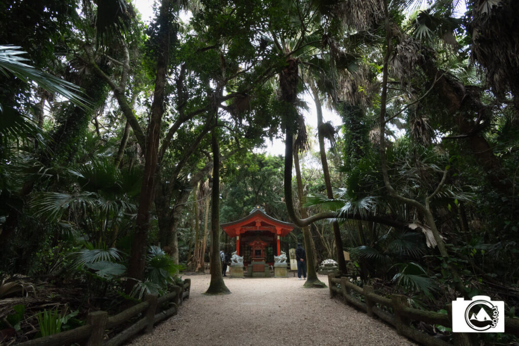 南国の植物に覆われた神社