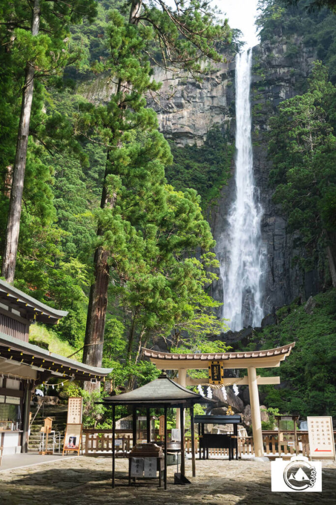 猛烈な勢いで水が落ちる那智の滝
