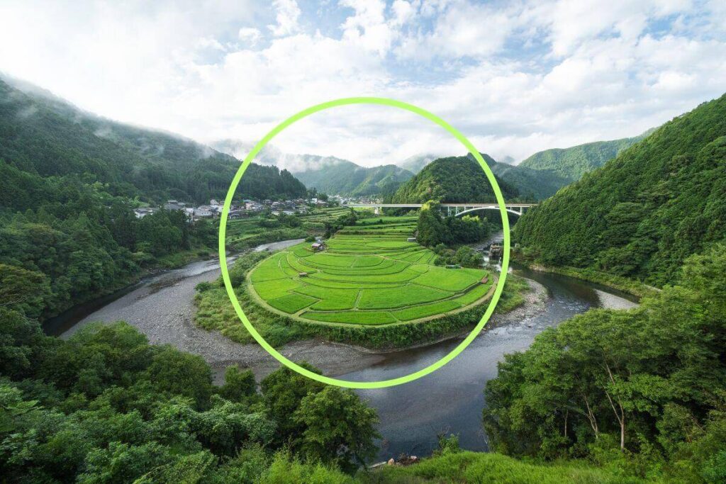 日の丸構図イメージ②