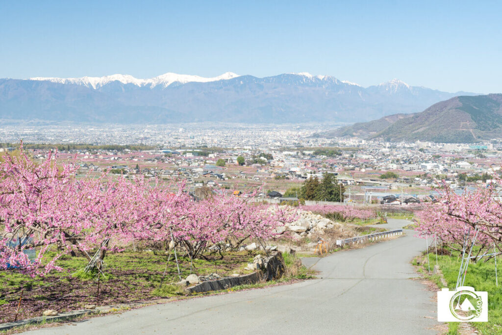 桃源郷と南アルプス