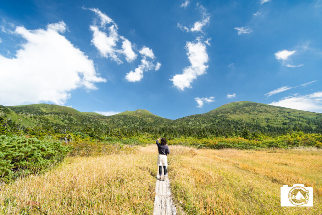 湿原で山を望む女性