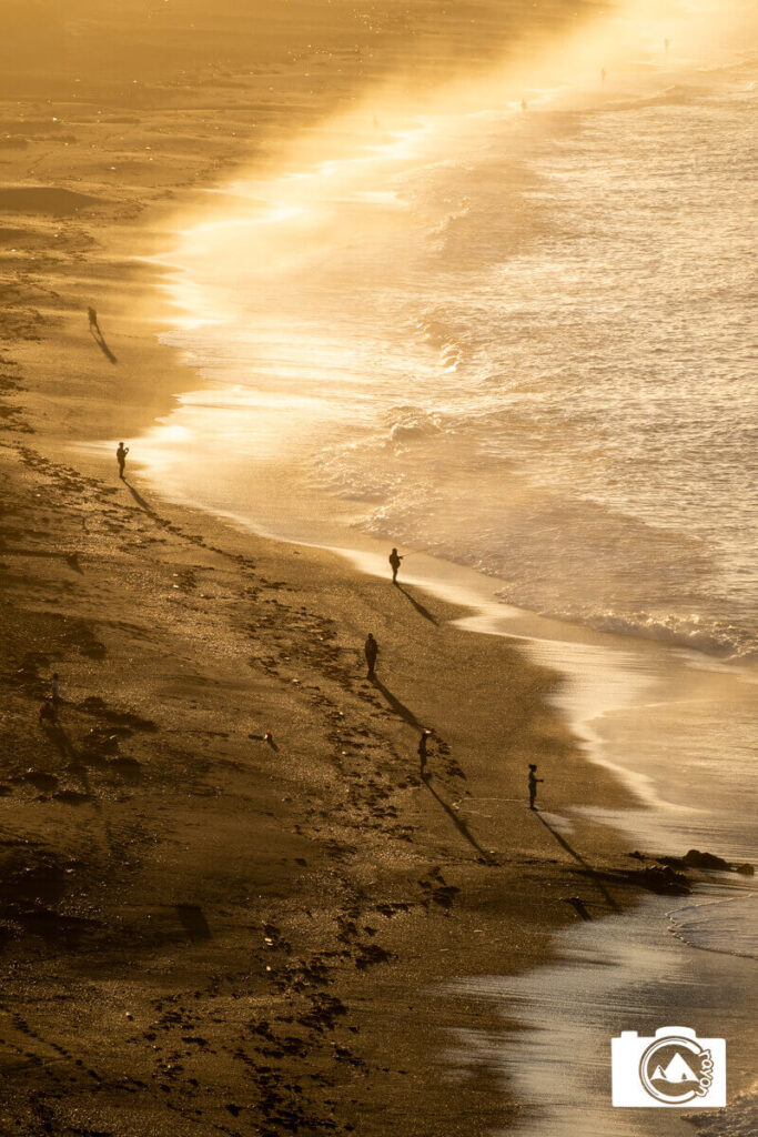 朝の海岸線で釣りを楽しむ人々