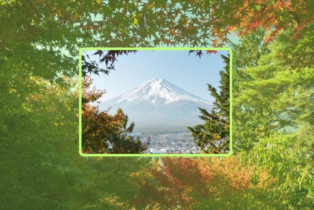 額縁構図イメージ①