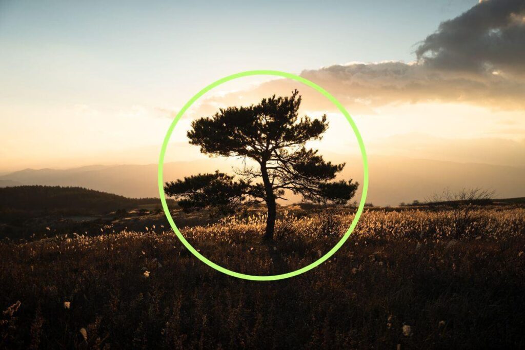 日の丸構図イメージ③