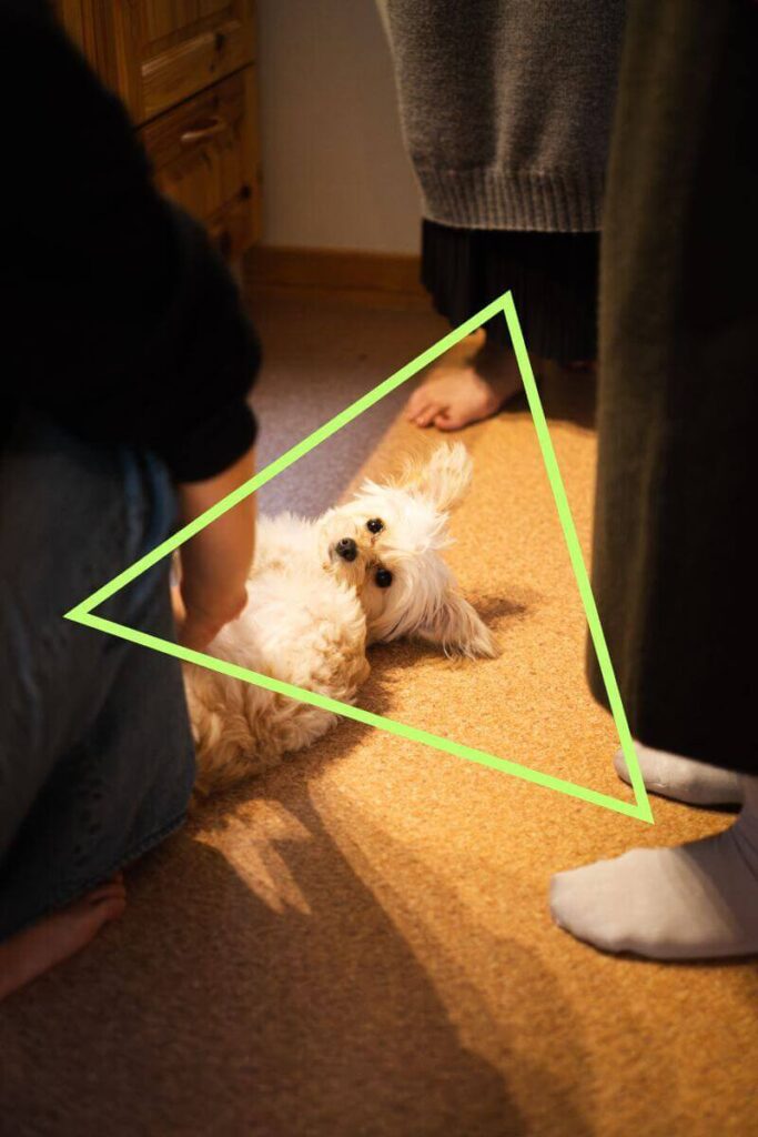 三角構図イメージ③