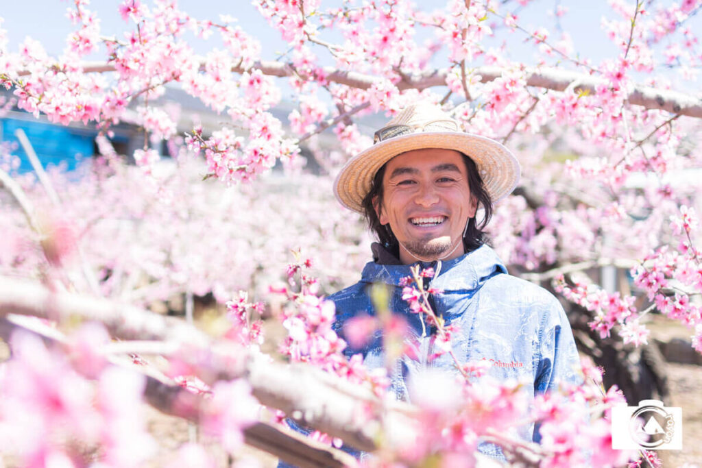 満開の桃の木と麦わら帽子を被った男性