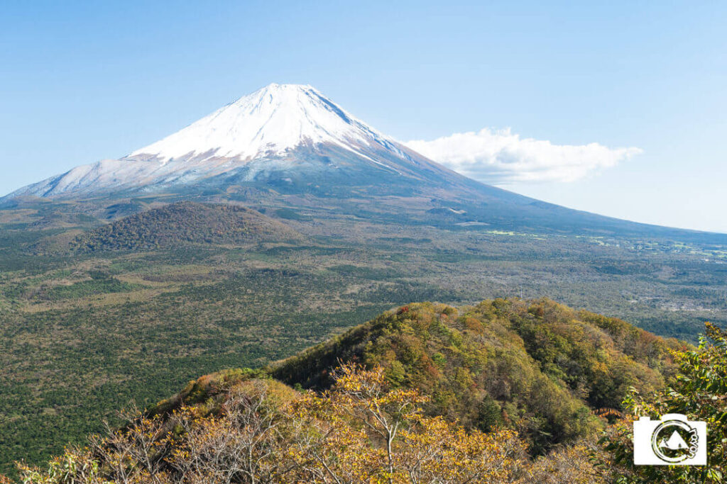 真正面にそびえる富士山と、眼下に広がる青木ヶ原樹海