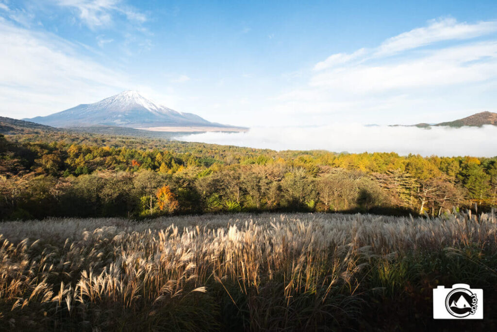 山中湖明神山パノラマ台から見る風景