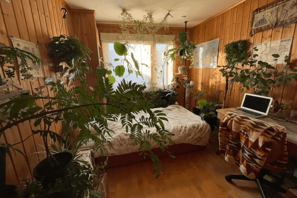 観葉植物で溢れるかつての妻の部屋