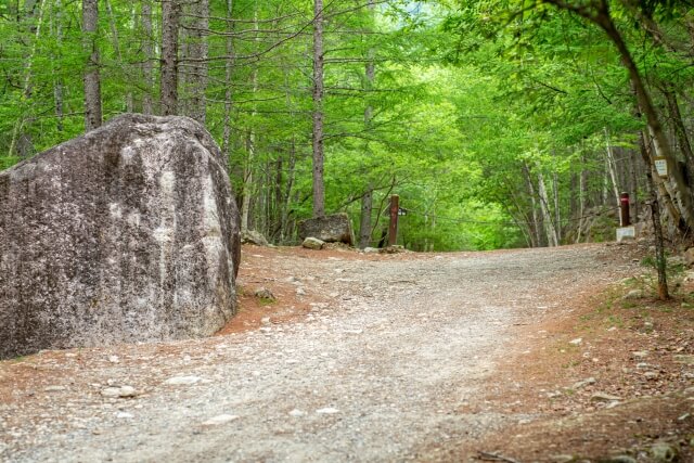 廻り目平の金峰山登山口