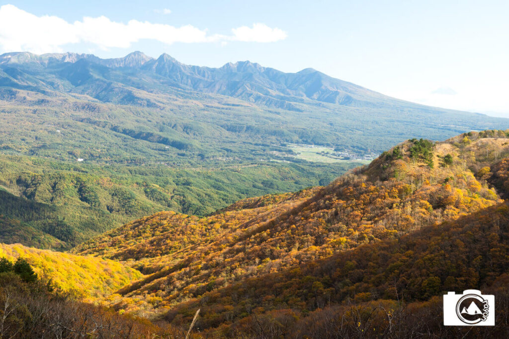 紅葉が見頃のビーナスラインと背景にそびえる八ヶ岳連峰