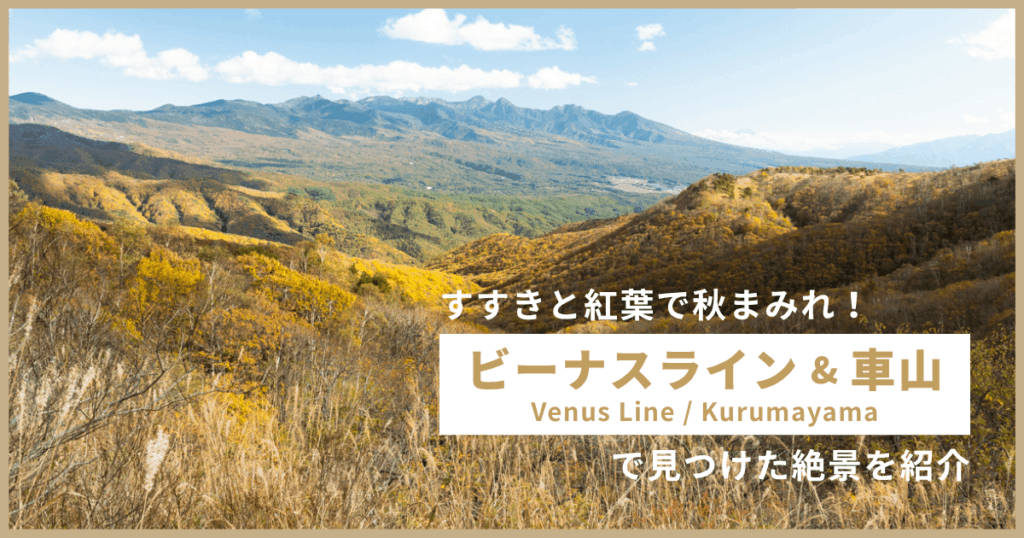 すすきと紅葉で秋まみれ！ビーナスライン＆車山山頂で見つけた絶景を紹介（サムネイル）