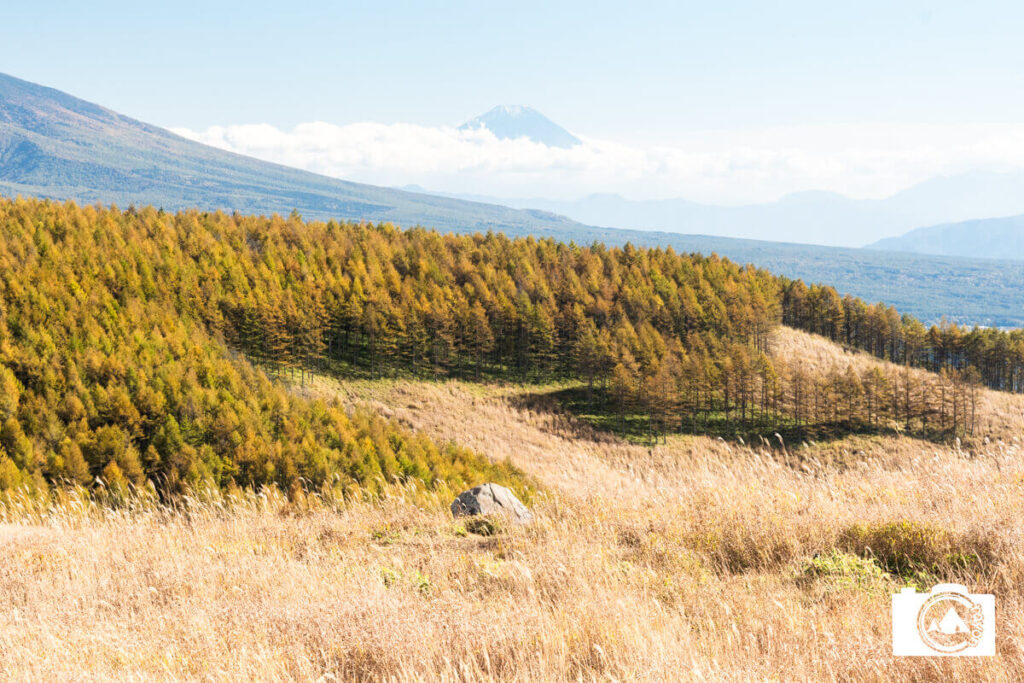 すすきと紅葉と富士山