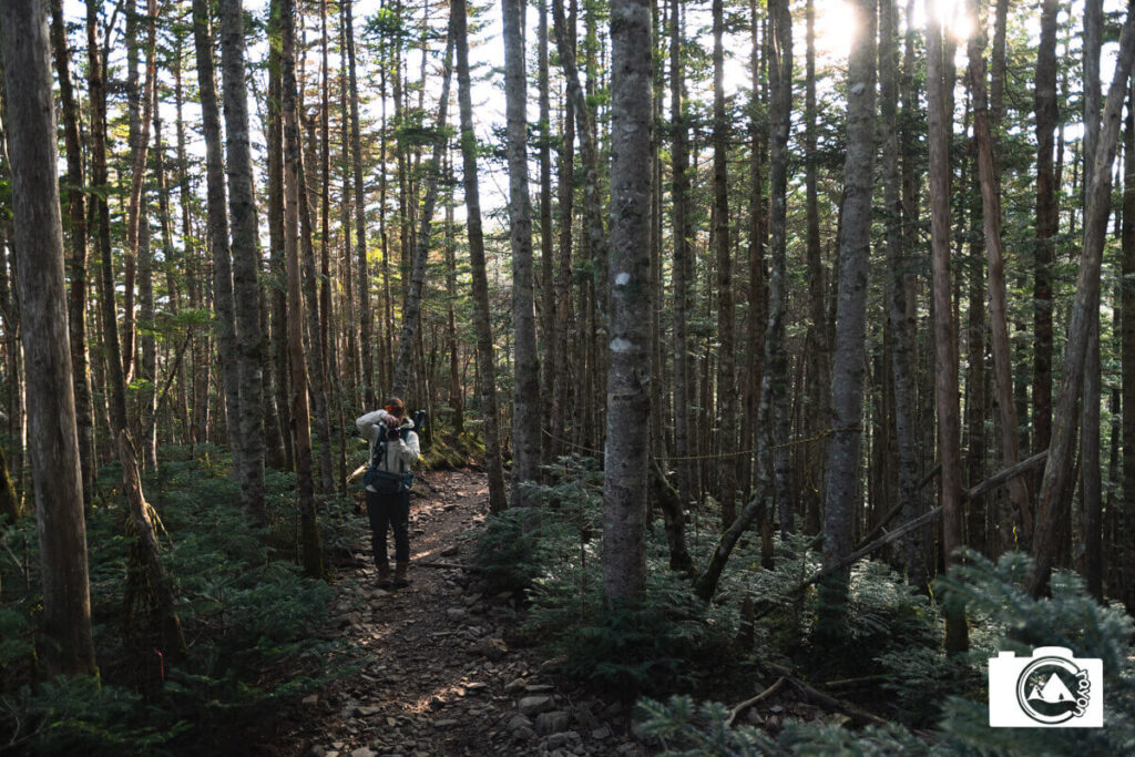 登山道で写真を撮る妻