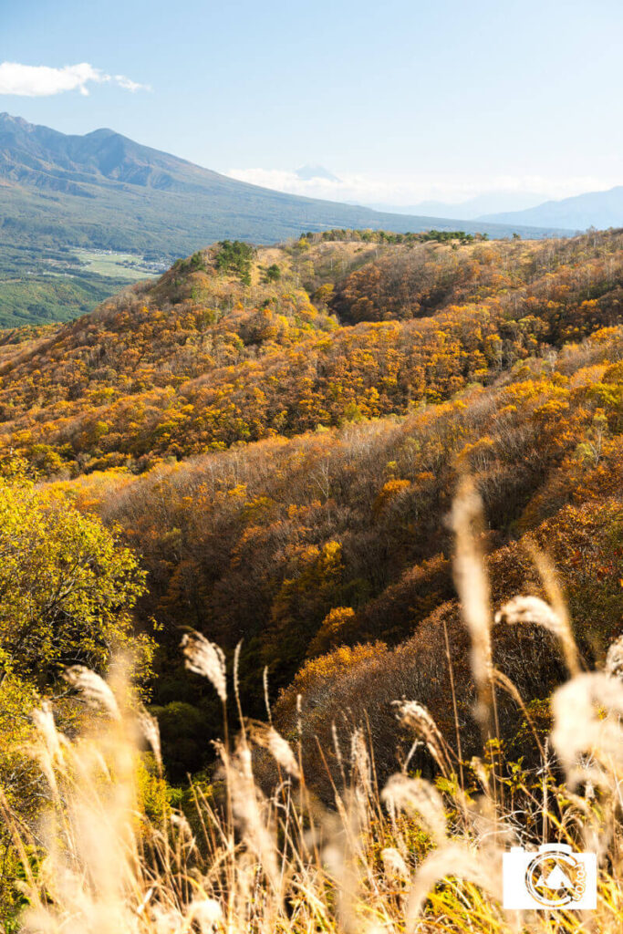 すすきから紅葉へと連なる絶景